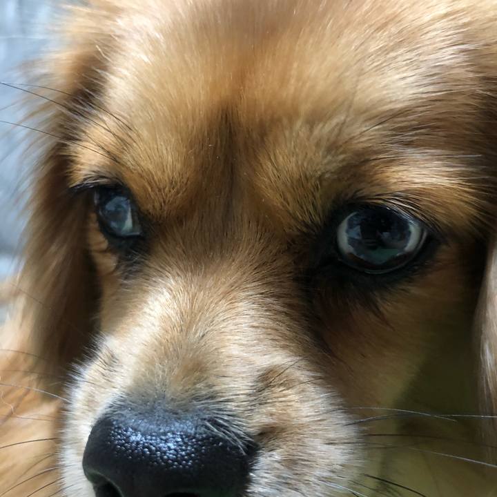 59cf02d4 d95a 4ffa b121 50dd5659c159 1538430370730