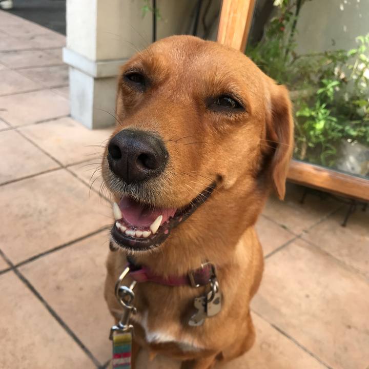 59cf1273 3ac4 43f4 b86f a39aec1d0c82 1540014681188