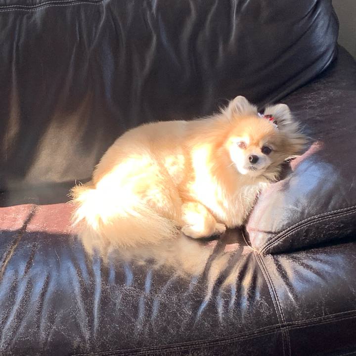 59cf2ada f8f3 4ee9 ab5b 53a615e7c3b6 1577663782842