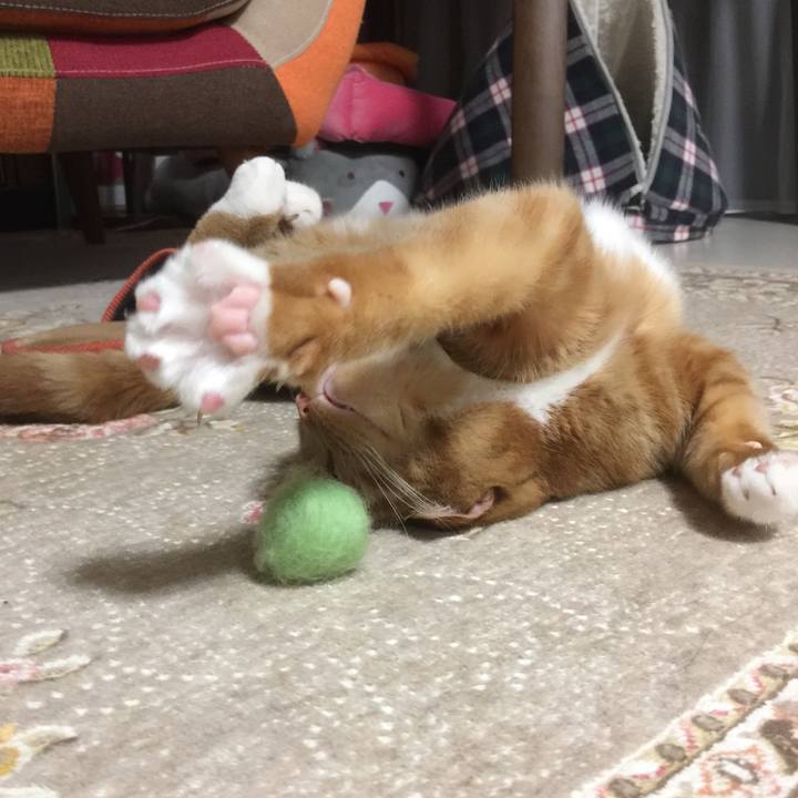 59cf5580 cbc3 4488 8b0b 2531040aecd8 1552481248168