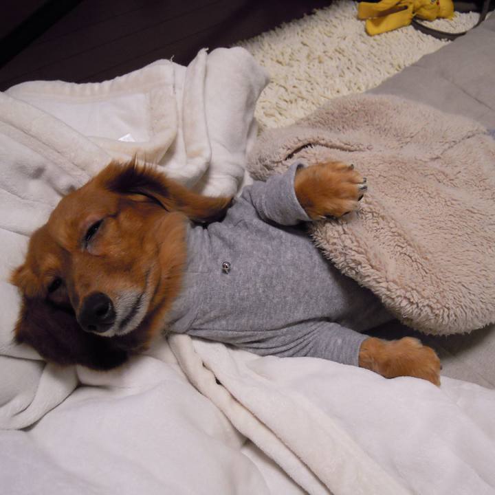 59cf65e3 f6f2 405b 97ce 09acccdc2046 1540144613271