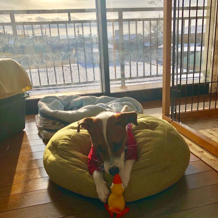 59cf7a52 e27b 4ee6 b61c 0798357a4972 1545781136158