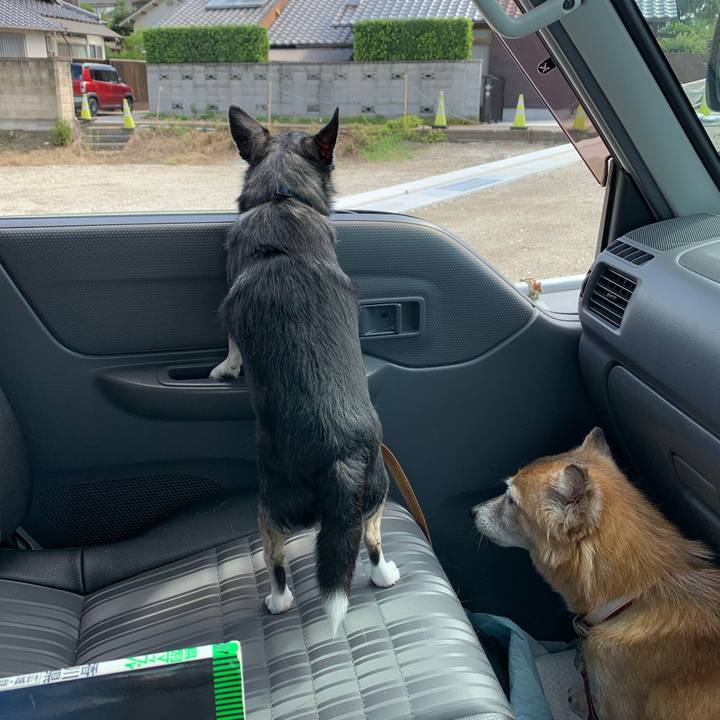 59cfa6fb f777 4034 80db 9c50134c259d 1662182225654