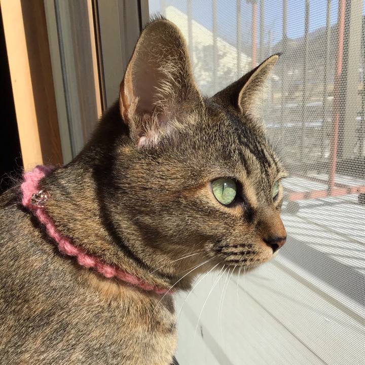 59cfcf3e e415 4e9f b713 53fdb8c59719 1614750191490