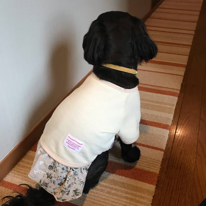 59cfe3b7 b790 4f6a a226 b88ac699c2f4 1559474190296