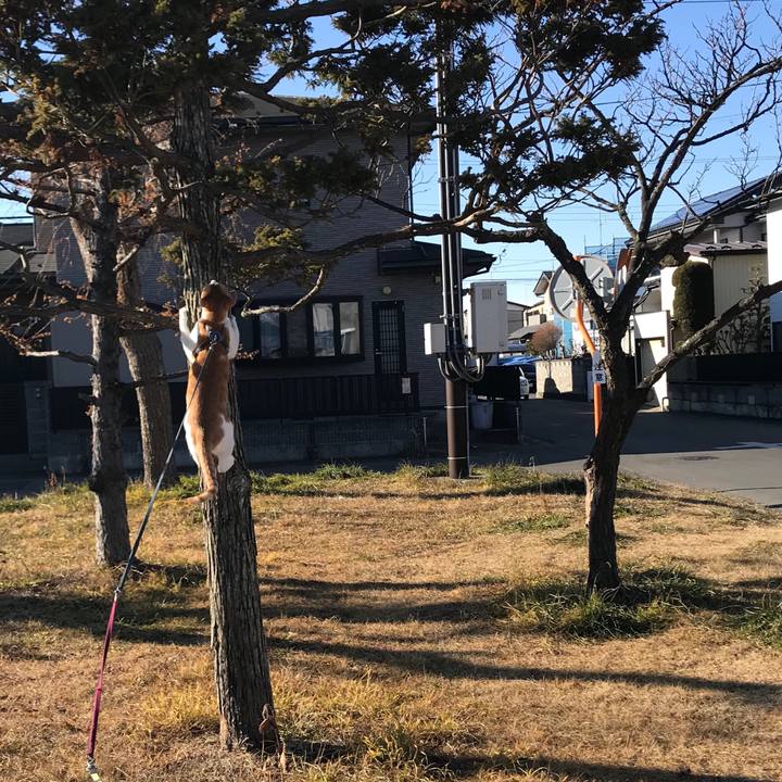 59cffed0 f7c0 4ddc a9cd 8def633c49cb 1515737615221