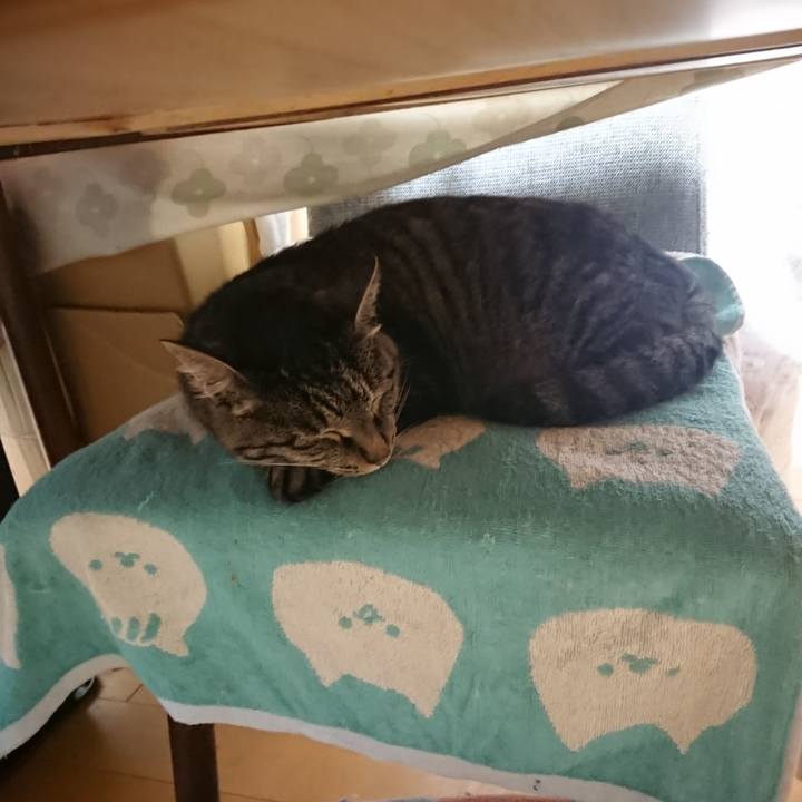 59d01d59 7437 407f a7cc e9023a64d5a2 1654777035239