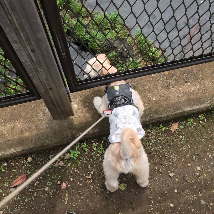 59d066e5 dd2d 4dd0 b28f beadd388213e 1563018450067