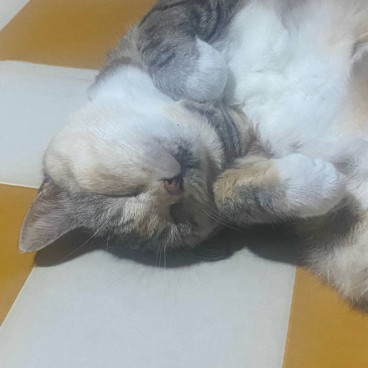 59d085c8 e0aa 4d45 bcb0 b3d6815504b1 1751568014749