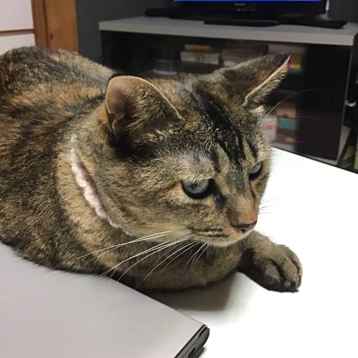 59d094c3 0563 4f68 8374 d4599f1b06eb 1694005102873