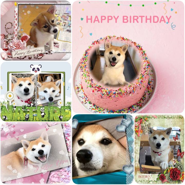 59d0b04c 3f89 4b29 bf23 5bb820eedd14 1620220908566