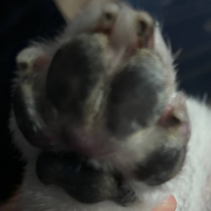 59d0b30a 4ef0 491c a3ab 30d161ac8ccb 1726278603033