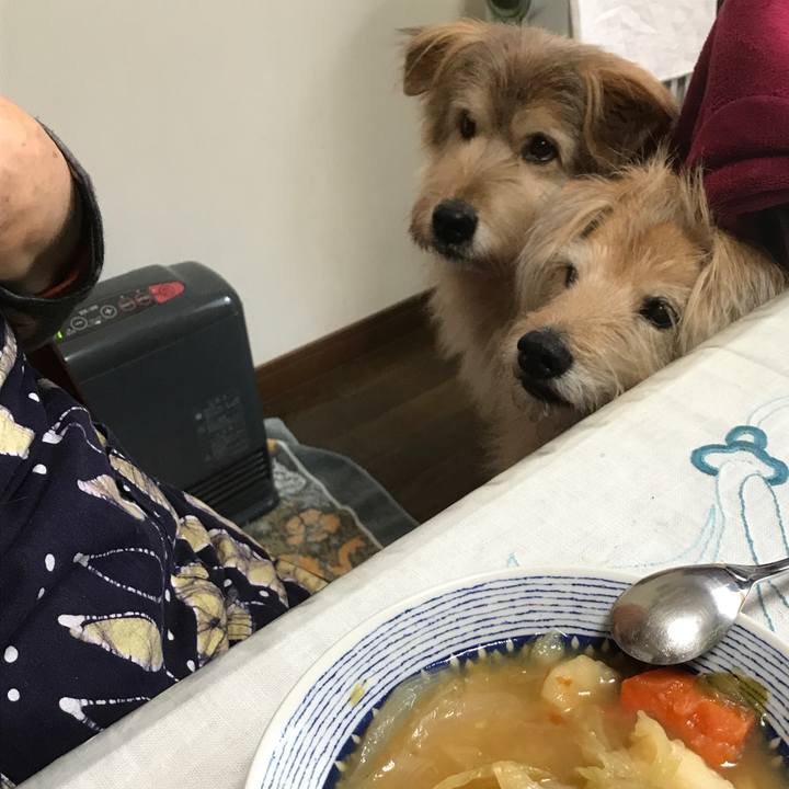 59d0ba46 04f5 4d7d 9a63 ba6e6254a66c 1545367816164