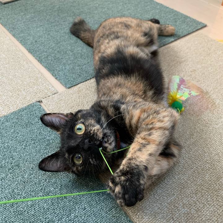 59d0caa9 360f 4c6a b5f3 8aee94bb7e2c 1575541698681