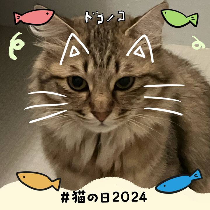 59d0ef2f 5285 40da a71c fa7c874f6ca9 1708556719212