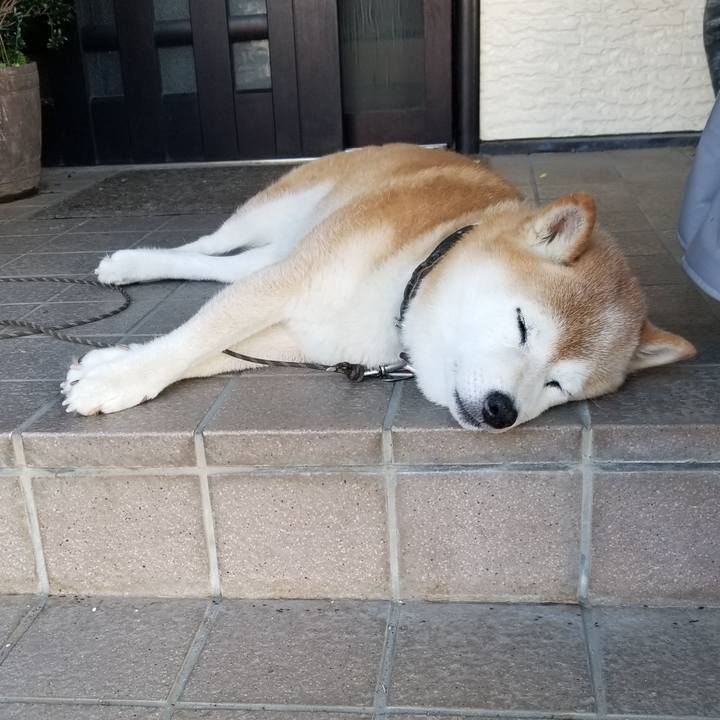 59d123ce 0987 4224 99fb 8f83361dc78f 1693354041823