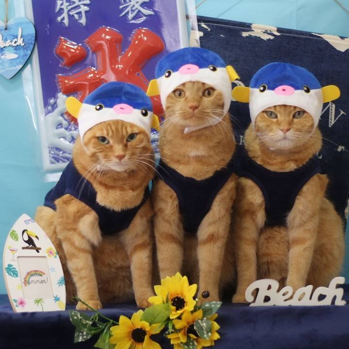 59d12413 370b 441a 983d a7d5dec8499a 1627784227615