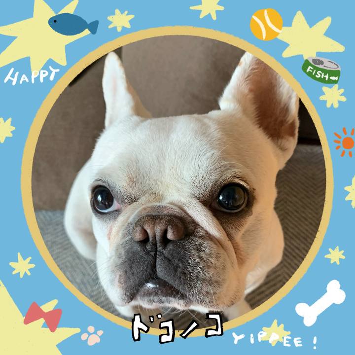 59d1371b 59d0 492e b044 b43a490bf2fa 1720958915806