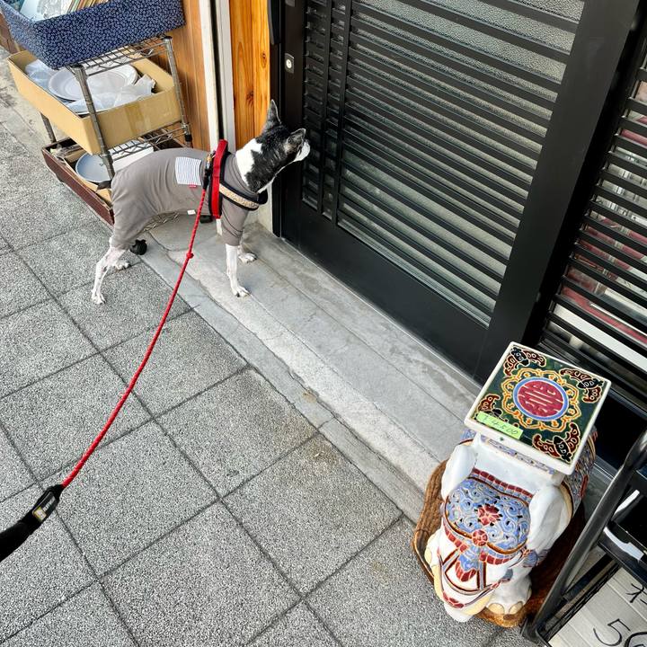 59d1587f 7c1c 48e8 ac51 5c57830af340 1647082829116