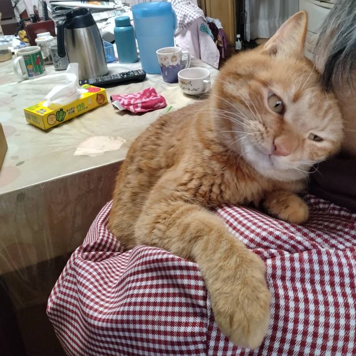 59d16d1a e087 4675 a8a5 ffe0fa3068e9 1705538893582