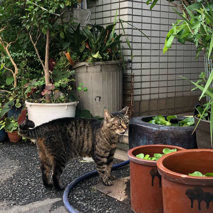 59d18ba2 6f50 41e2 9646 46e11ef5a9c4 1593518835587