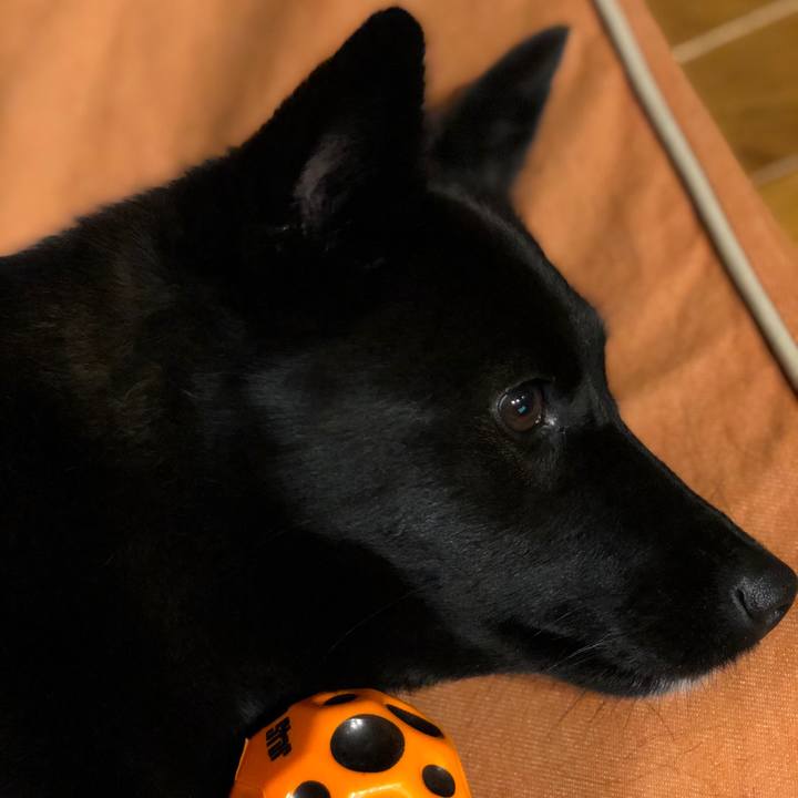 59d18e4f 8498 4e1e b0e1 3ccad46be2d7 1571566544586