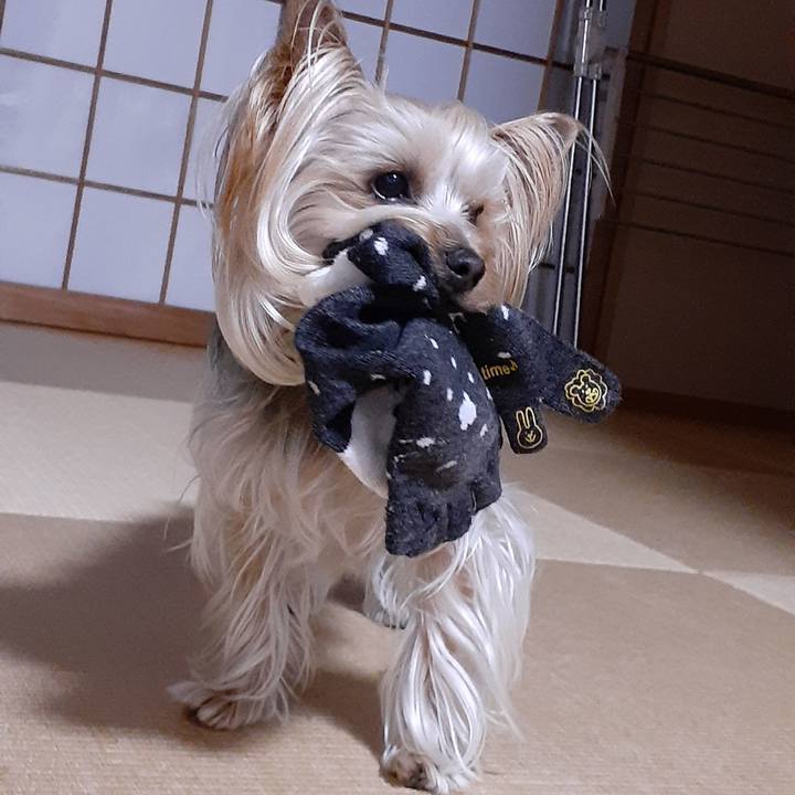 59d1aec3 152e 4113 a33a a3e44a2cd761 1648382016861