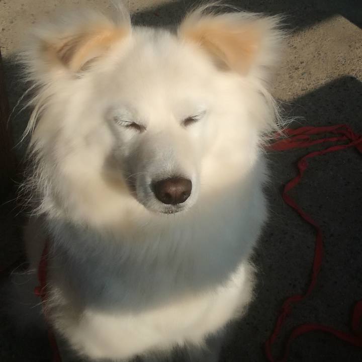 59d1d0b1 8705 4ec8 b85e ac4b556ee061 1525135150665