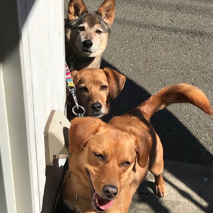 59d1e579 b947 42ab a63e 150de8489491 1553398208580