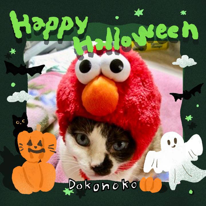 59d21ff0 2a84 4c0b b70d c8f98a9cb296 1729049289809