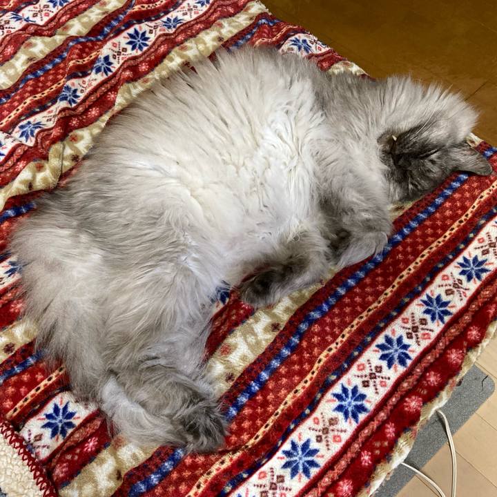 59d22c0c a60e 48ca 9199 922e8558340b 1716258821329