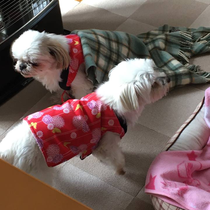 59d24334 bbb3 49b4 9260 9f4974601a4a 1647994935600