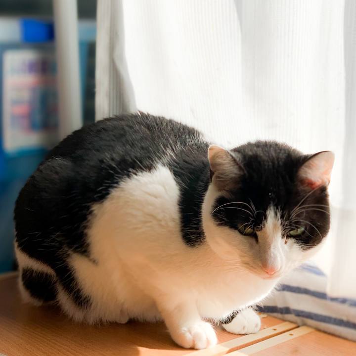 59d262d4 80b8 44ef 9ae2 5a17a1f8cfdc 1587692363808