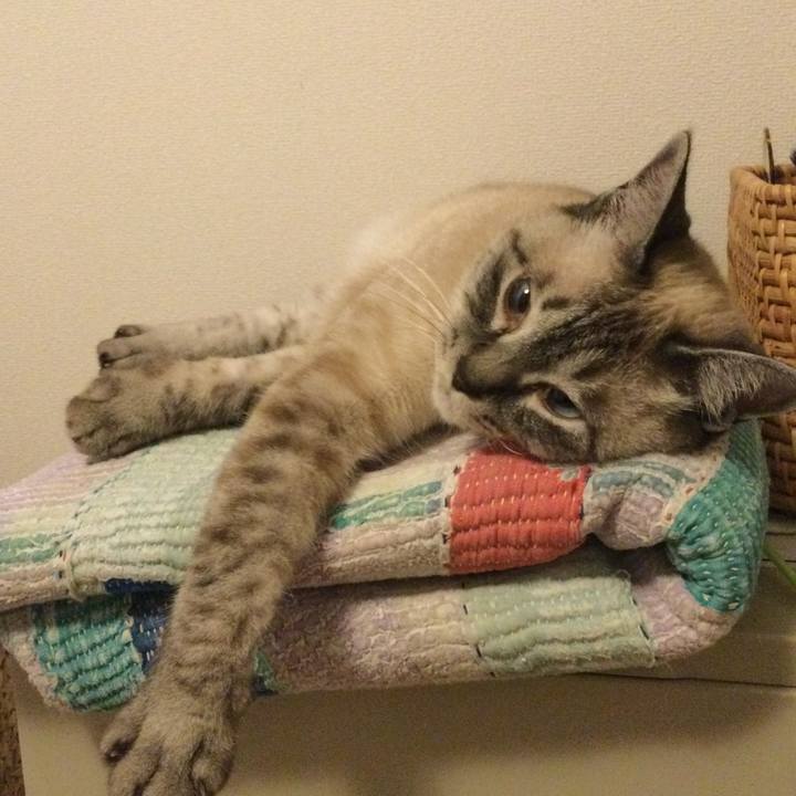 59d27966 de33 4665 a607 1b0c60685310 1656417346195