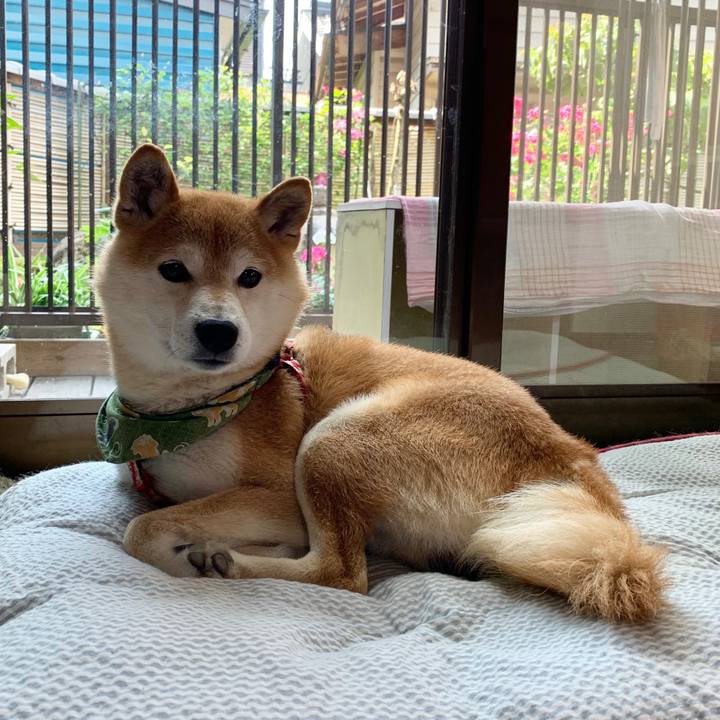 59d285f2 d73c 4f64 826c 590f4a1aeea9 1591530743866