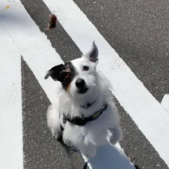 59d28d83 9ff0 4431 99b5 16de8595a013 1749169061333