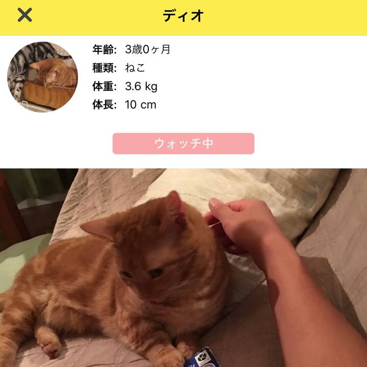 59d2ae7b 89ab 44e4 9836 965161becb81 1509790441432