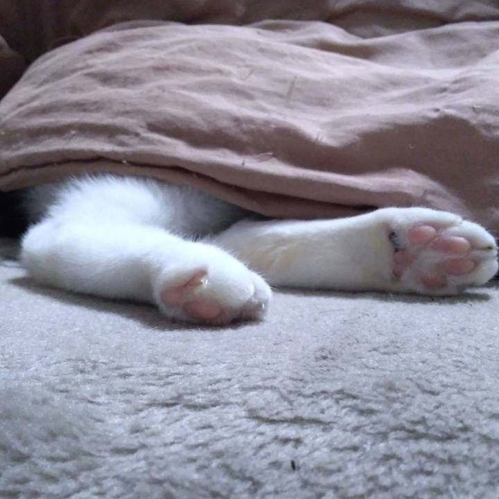 59d2bb54 d08a 4e5d 93f8 d01d3ae1ee8f 1523104252014