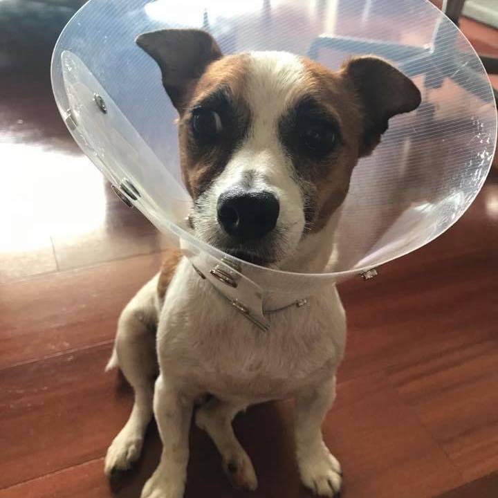 59d2bfb1 a6f5 4a94 a176 3d8a5e8a7051 1692355392812