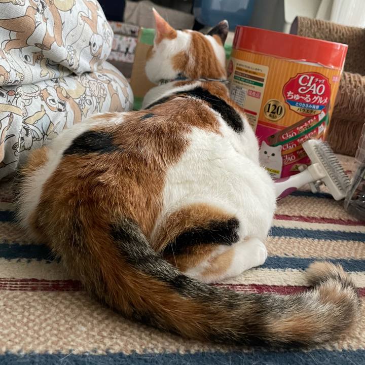 59d2d33a 44f4 4c47 9caf b3ac21b0afe8 1726702622201