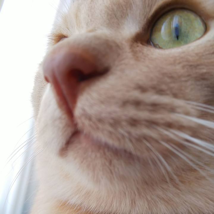 59d30412 d311 41f1 ac84 8bbd976fc8fa 1613199603311