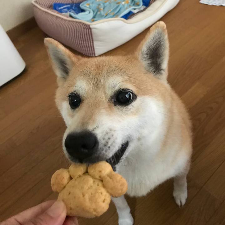 59d315a9 0e4f 4e06 85bd 33c59eed4667 1530579443448