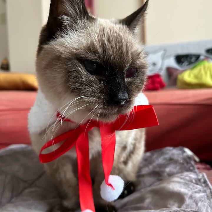 59d31a4a fad8 4bfe 80e3 1be569691a59 1705128287914