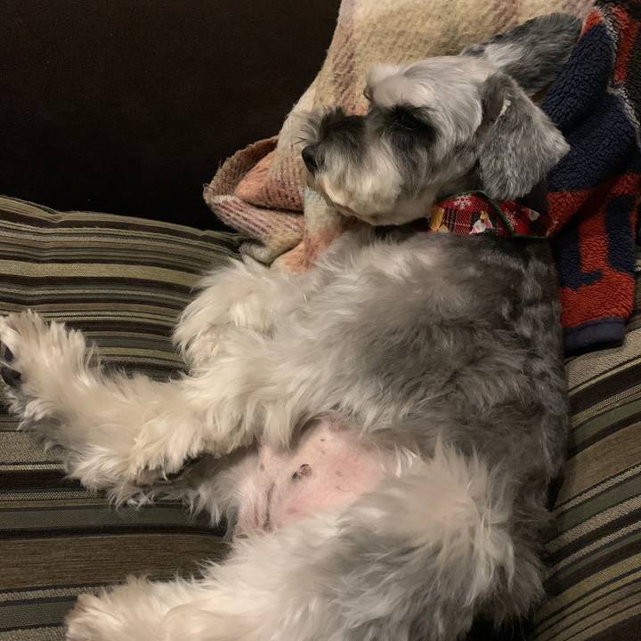 59d31e49 6df0 4ce0 8c29 26956029cf9c 1607077011994