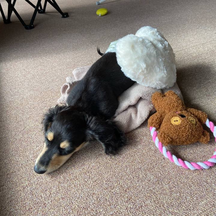 59d380a3 5108 4e8d 898d 71a074e5e001 1668394722619