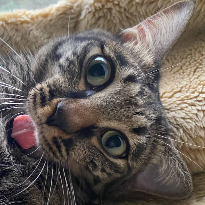 59d3964c 36c3 4cff 99dd a21066a8aa7c 1667303003274