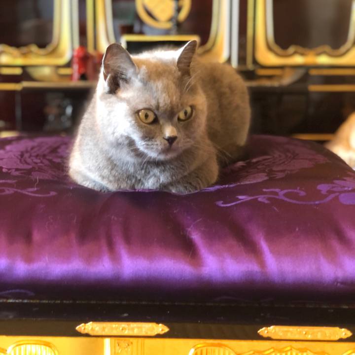 59d3976f 8161 4024 8d14 f438eb680022 1624671133962