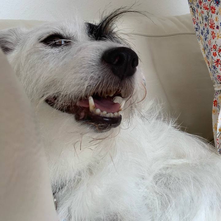 59d3fbec 1140 41fa 91ae 019a0a7323b6 1658383307772