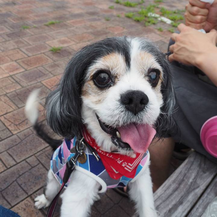 59d4101c 7ed1 4b6e b59b d46053dceeda 1563600162740