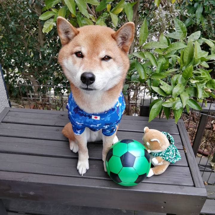 59d4a62b 08c6 43d3 b294 6b8893ef4b7f 1582366914209